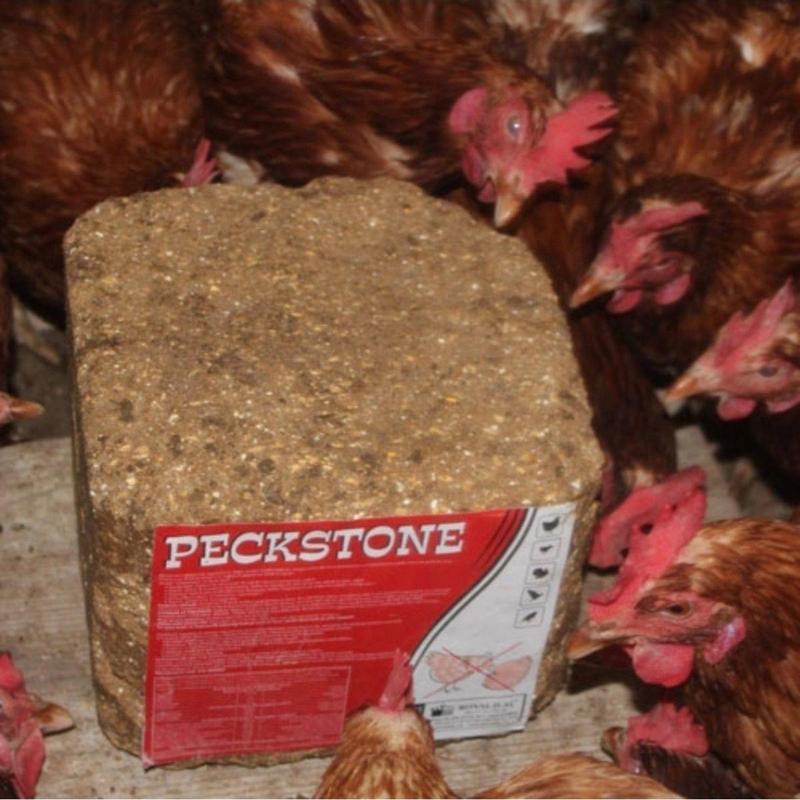 Royal Ilaç Peckstone Avian Tavuk Gagalama Taşı 4 Kg