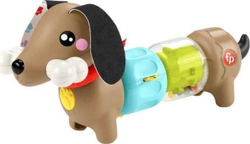 Fisher Price Köpekçikle Eğlenceli Aktiviteler HTW91