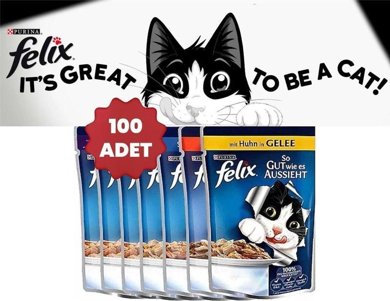Karışık Yaş Kedi Maması 100 Adet