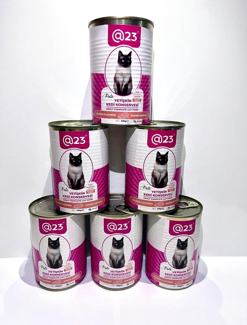 Yetişkin Kedi Konservesi Somon Aromalı 415 g x 6 adet