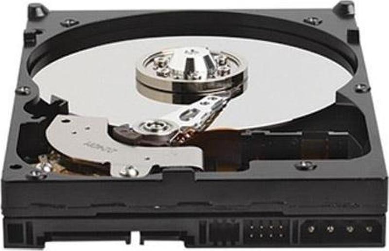 Wd 320Gb Caviar Blue 3.5" Sata2 7200Rpm 8Mb Harddisk