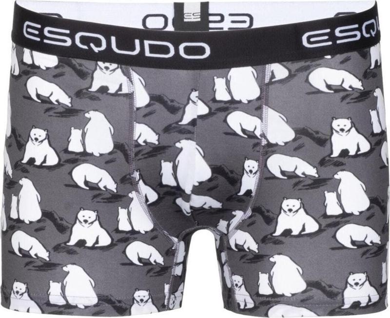 Boxer Erkek Gri Boxer Esbxd0010-05