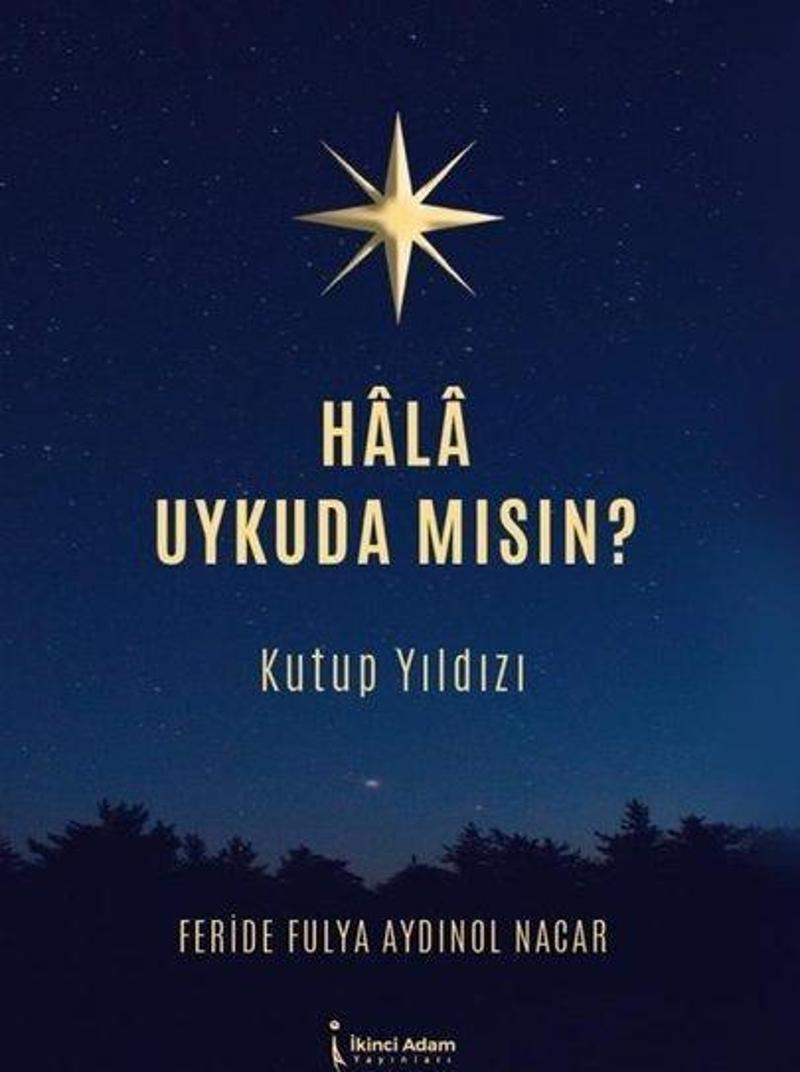 Hala Uykuda Mısın? Kutup Yıldızı