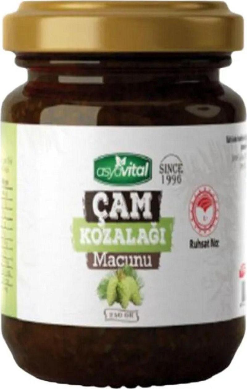 Çam Kozalağı Macunu 240 Gr