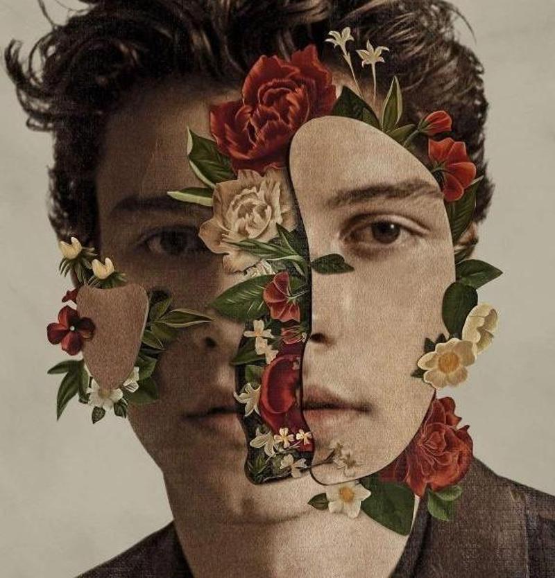 Shawn Mendes Plak