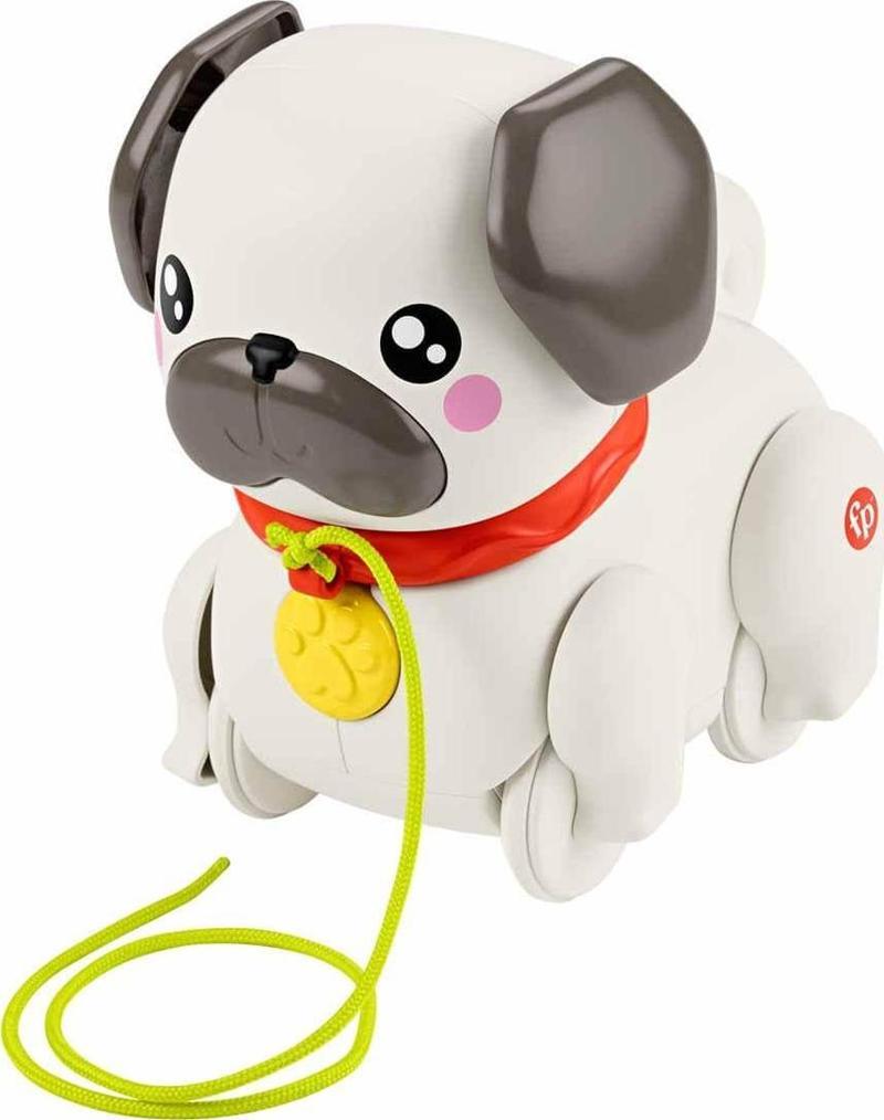 Fisher Price Minik Dostumla Yürüyüş HTW94