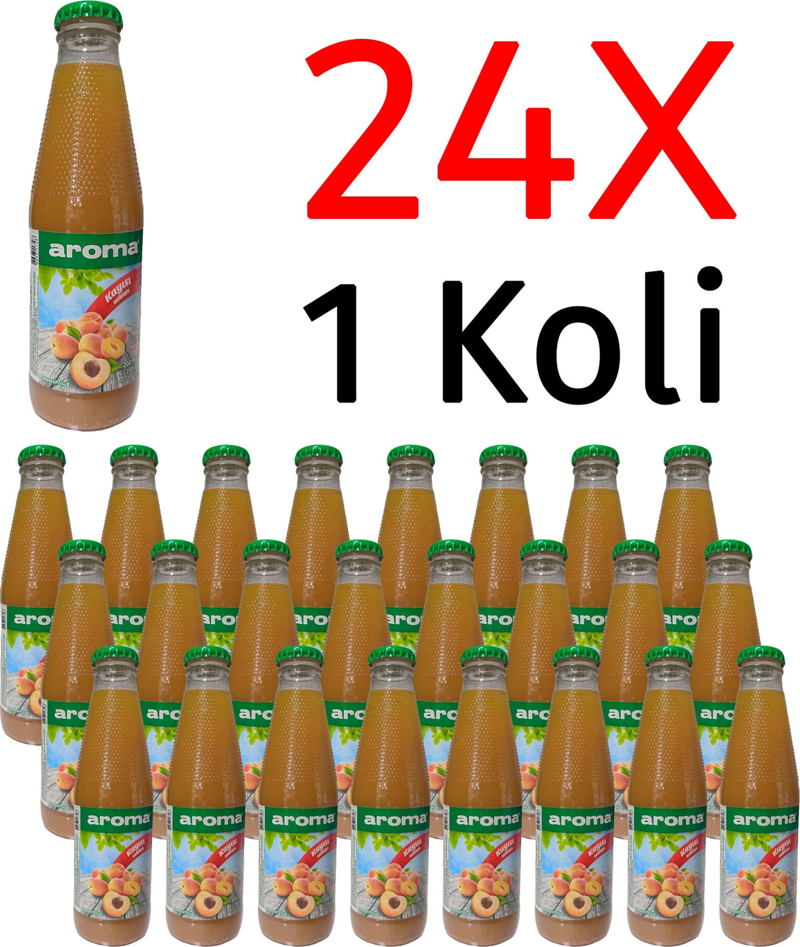 Kayısı Nektarı Cam 200 Ml X 24 Adet