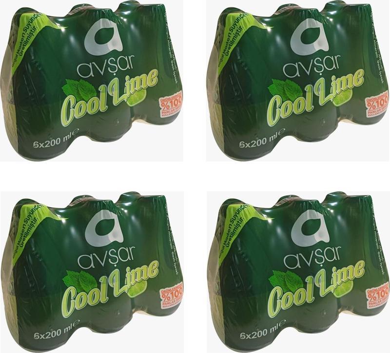 Cool Lime Nane Limon Aromalı Maden Suyu 200 Ml X 24 Adet