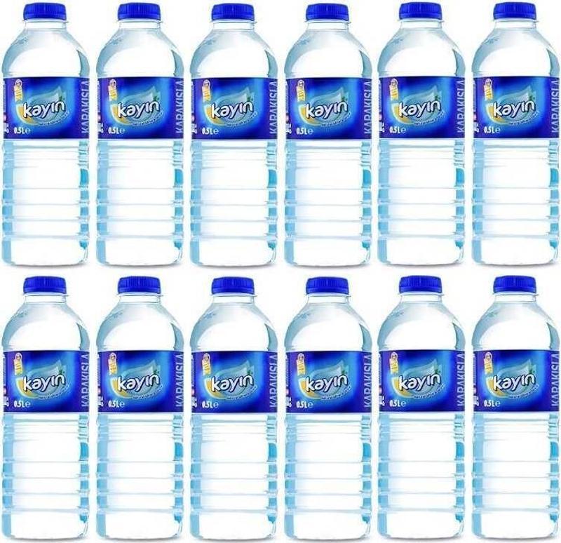 Doğal Kaynak Suyu 500 Ml X 12 Adet