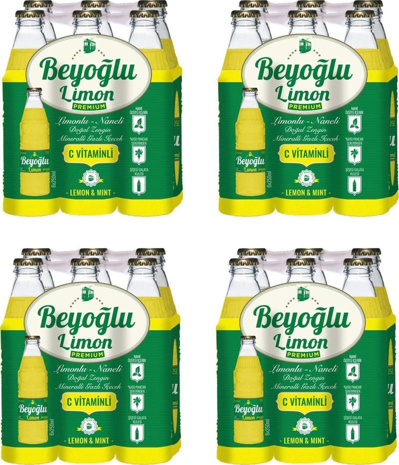 Gazozu Limonlu  250 Ml X 24 Adet