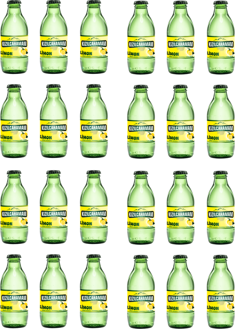 Çamlık Nane Limon Aromalı Maden Suyu 200 Ml X 24 Adet