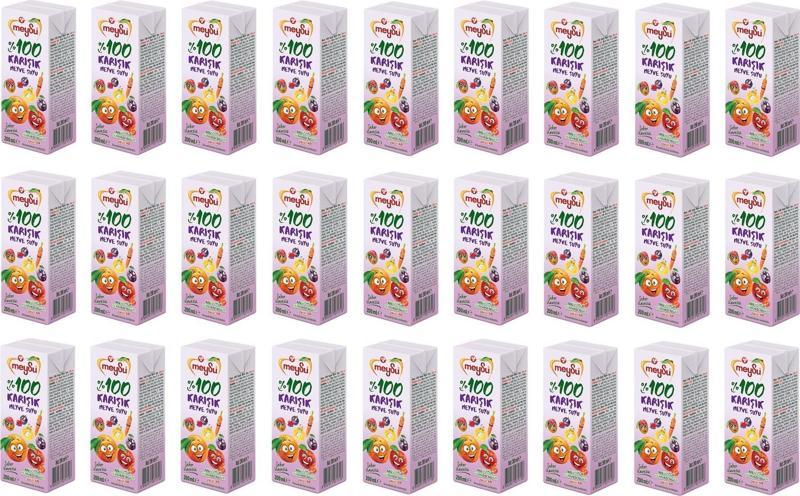 %100 Karışık Meyve Suyu 200 Ml X 27 Adet