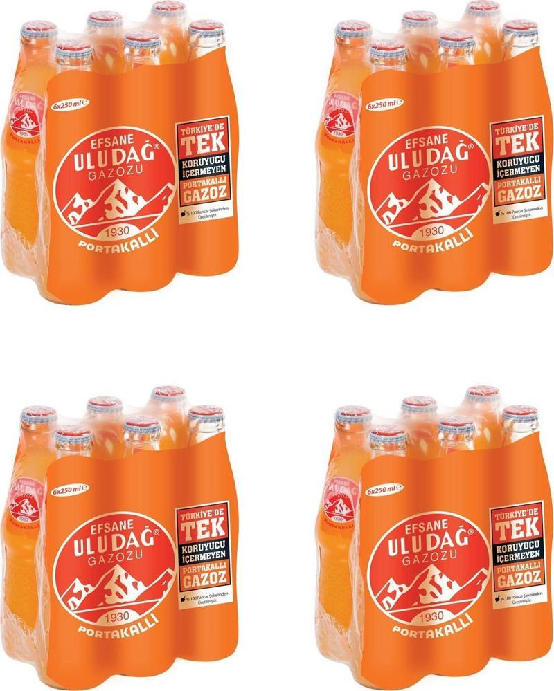 Efsane Gazozu Portakallı 250 Ml X 24 Adet