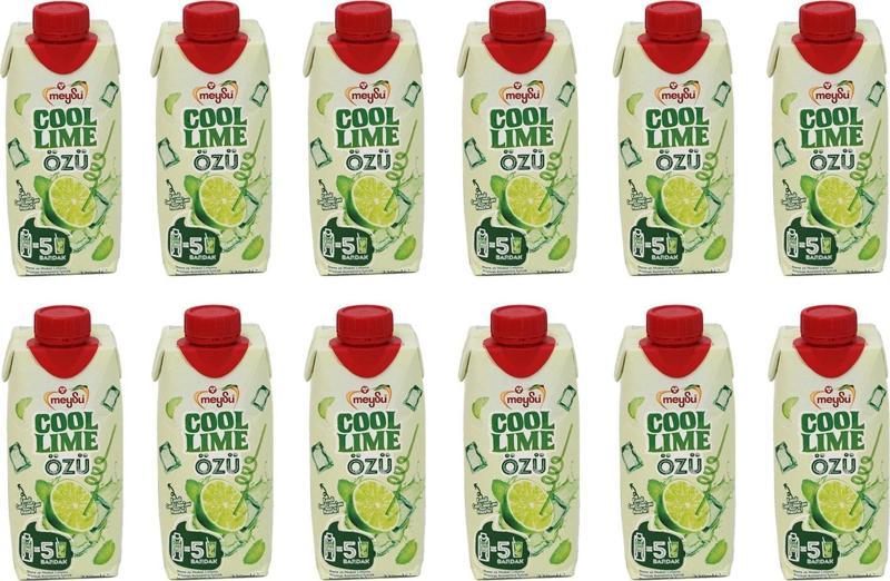 Cool Lime Özü 330 Ml X 12 Adet