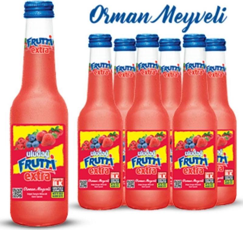 Frutti Extra Orman Meyveli 250 Ml X 6 Adet