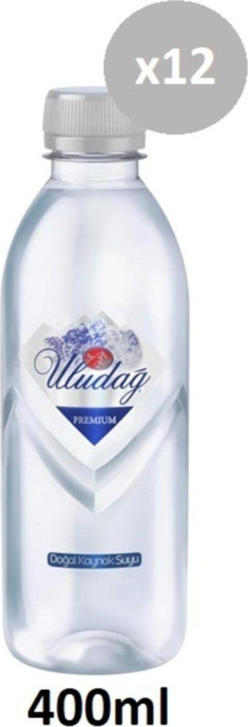 Doğal Kaynak Suyu 12 Adet 400 Ml