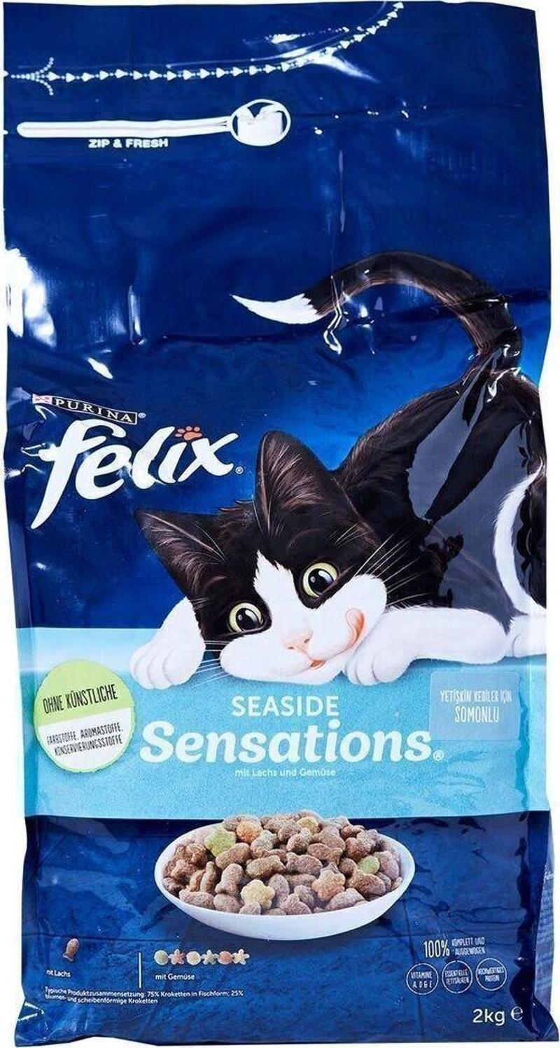 Purina Somonlu Yetişkin Kuru Kedi Maması 2 Kg × 2 Adet