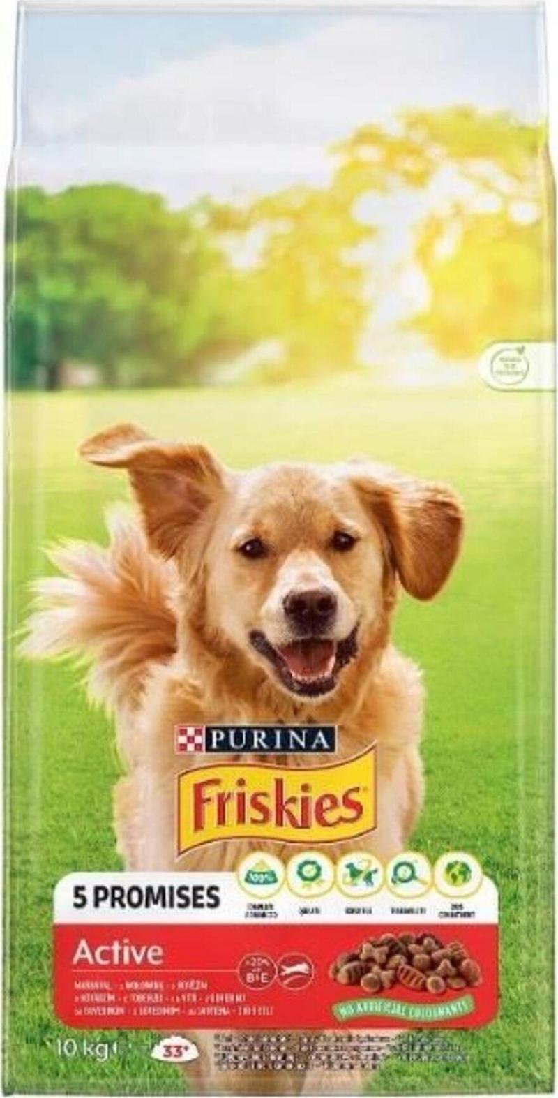 Active Biftekli Yetişkin Köpek Maması 10 Kg