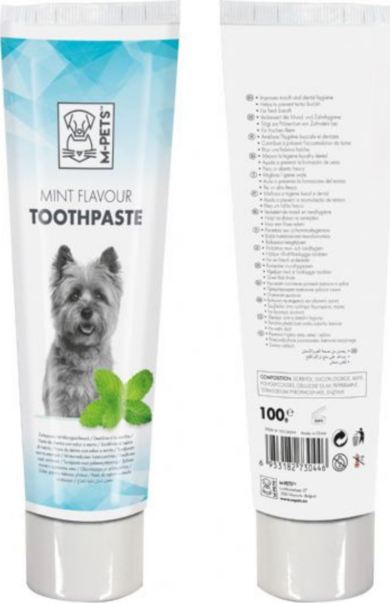 Mint Flavour Tooth Paste Nane Aromalı Köpekler İçin Diş Macunu 100 Gr