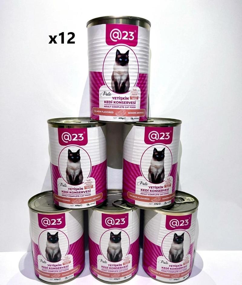 Yetişkin Kedi Konservesi Somon Aromalı 415 g x 12 adet