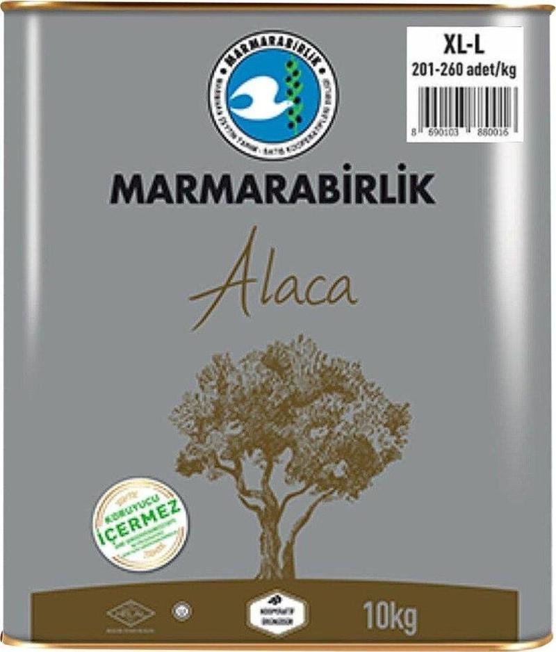 Alaca Yağlı Salamura Zeytin 10 Kg (Xl-L) 201-260 Ad/Kg