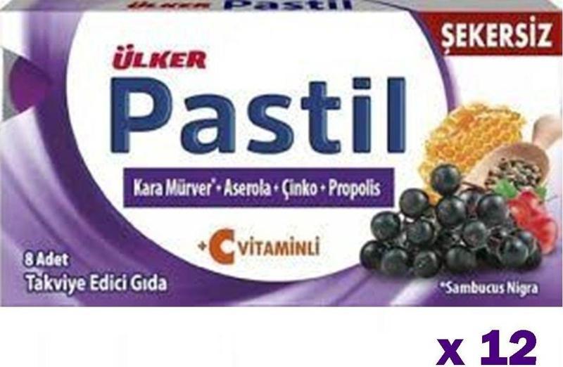 Pastil Şekersiz Takviye Edici Gıda (Kara Mürver, Aserola, Çinko, Propolis) 12'Li Kutu