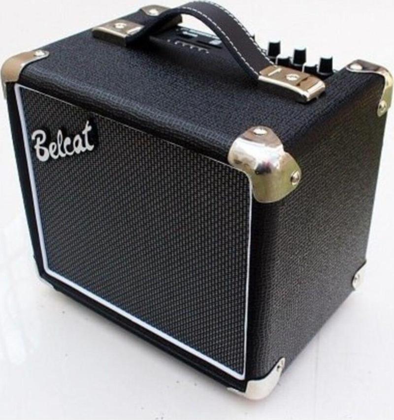 Kayıt Yapabilen Gitar Amfisi Merit 10 Model 10 Wat