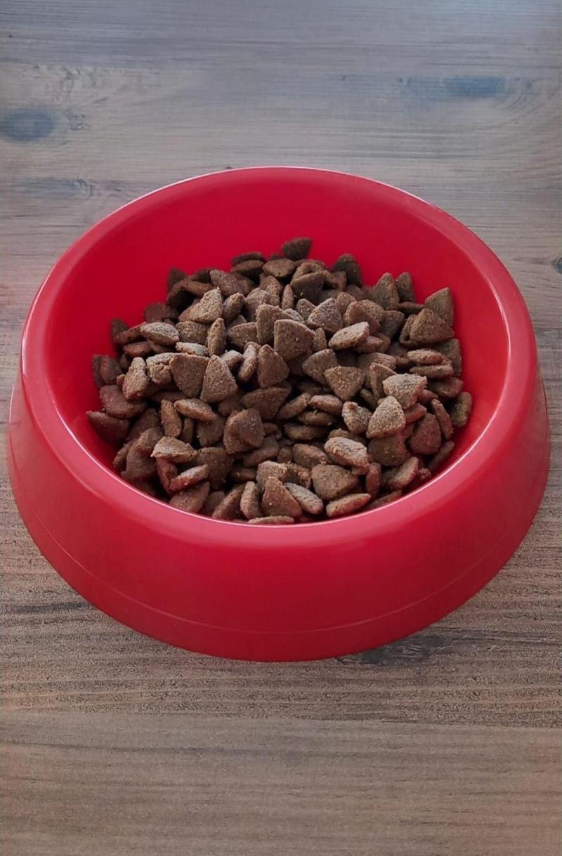 Proplan Yetişkin Orta Irk Kuzulu Kuru Köpek Maması 1 Kg