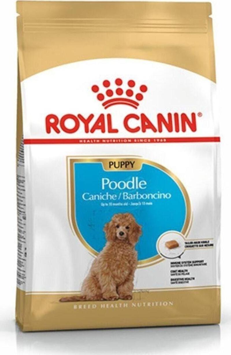 Royal Canin Poodle Junior Yavru Köpek Maması 3 Kg