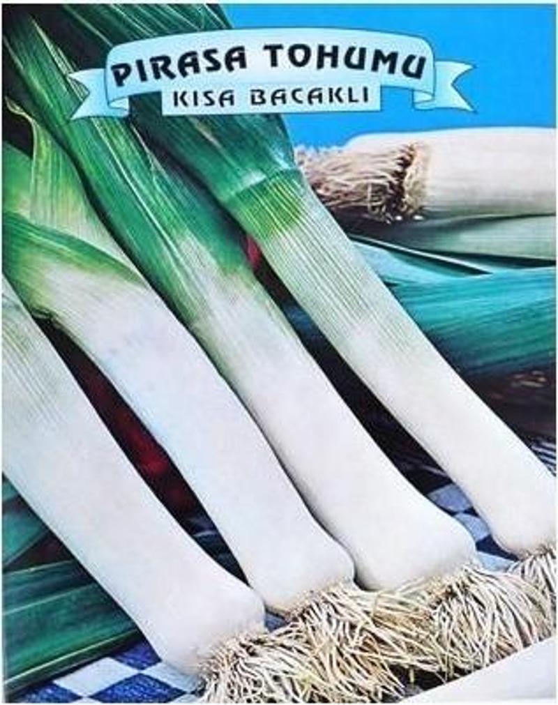 Kısa Bacaklı Pırasa Tohumu