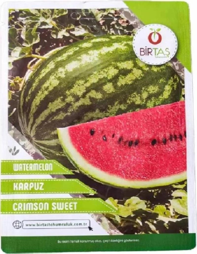 Watermelon Karpuz Tohumu