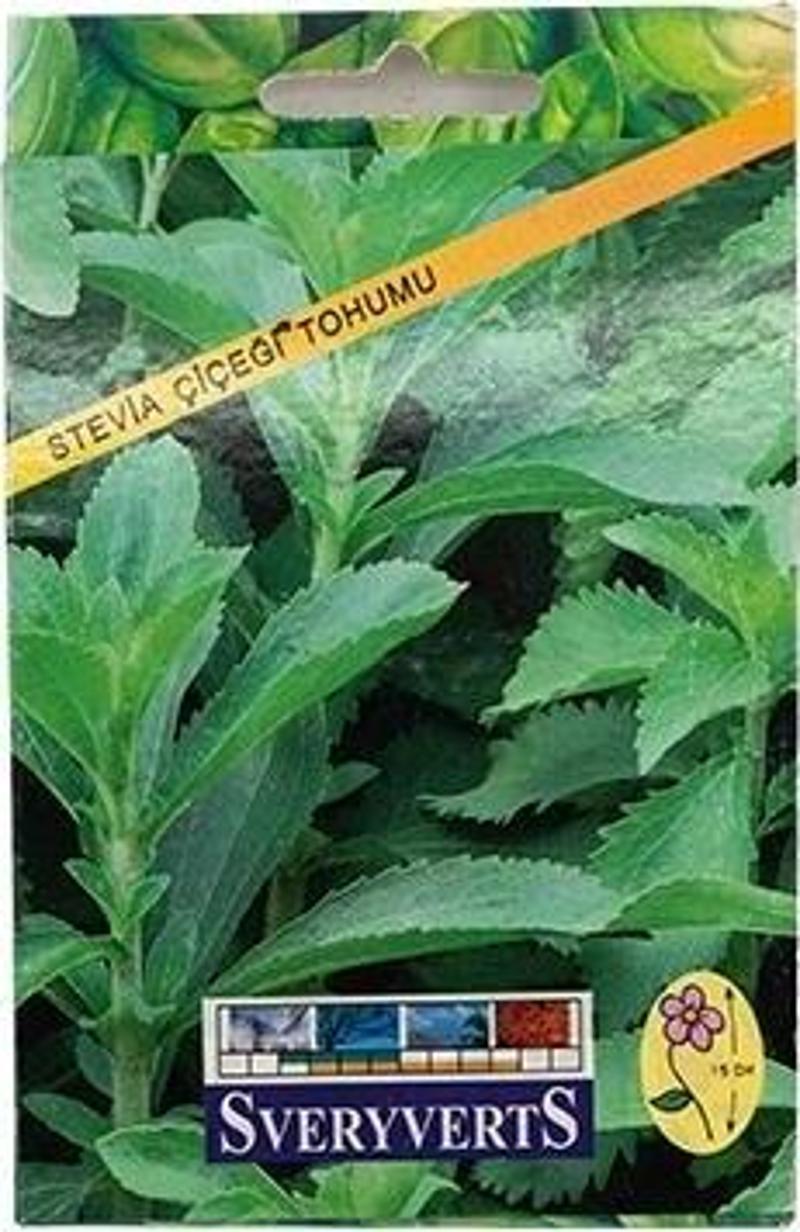 Stevia Çiçeği Tohumu