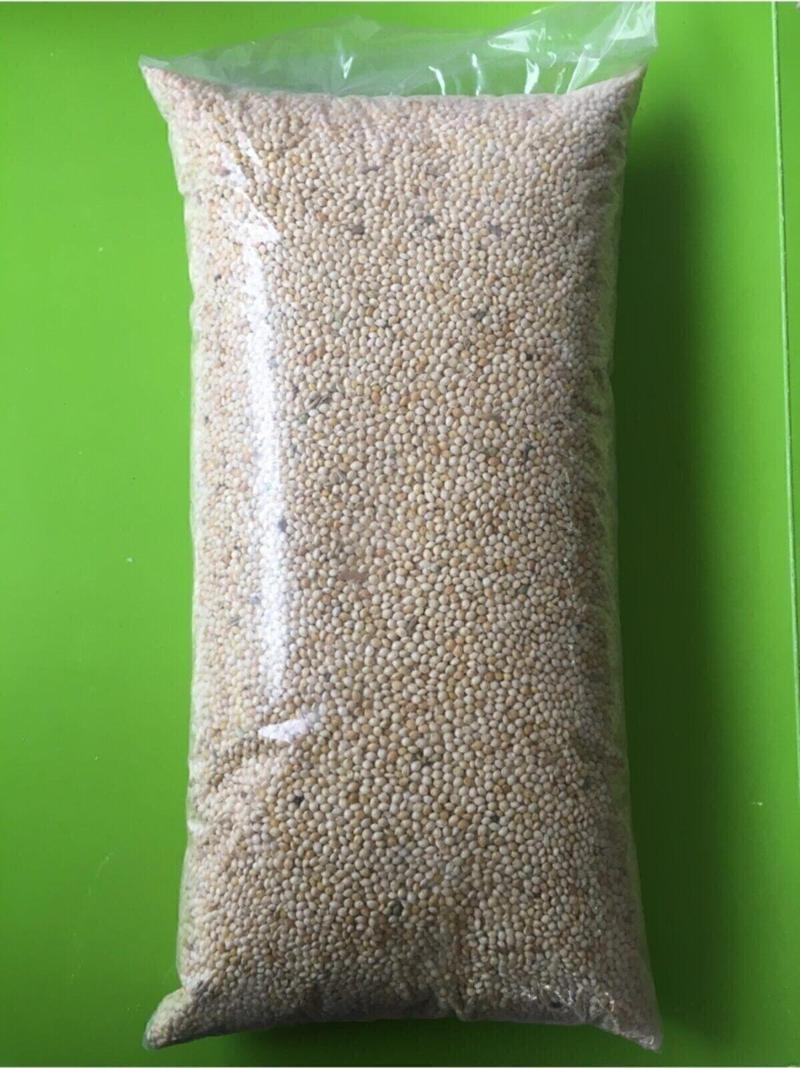 Ak (Beyaz) Darı 1 Kg Kuş Yemi