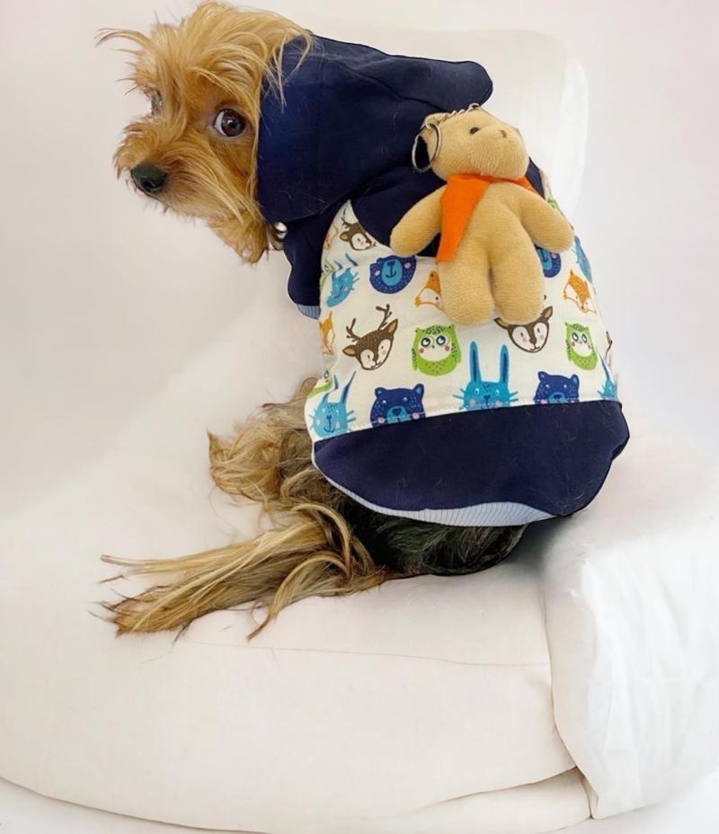 Teddy Roo Kapşonlu Köpek Sweatshirt Köpek Elbisesi Köpek Kıyafeti