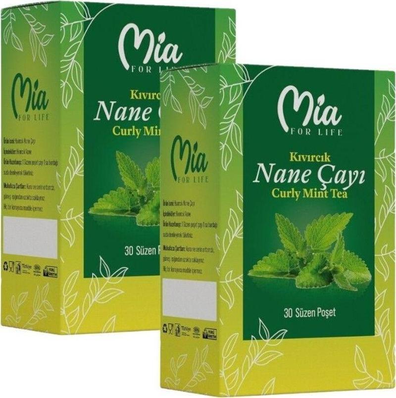 Spearmint Tea Kıvırcık Nane Çayı 30 Süzen Poşet 2 Adet
