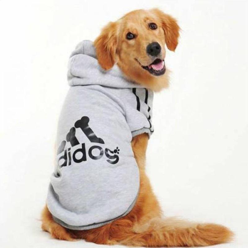 Gri Kapşonlu Duo Adidog Sweatshirt Büyük Köpekler İçin