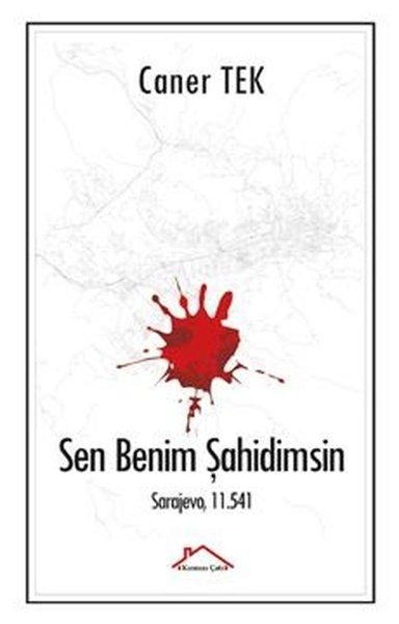 Sen Benim Şahidimsin