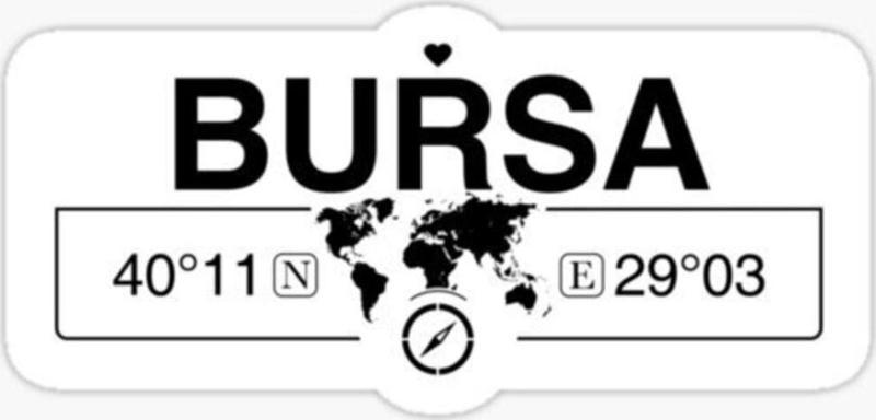 Bursa Gps Harita Sticker Oto Araba Yapıştırma 17cm