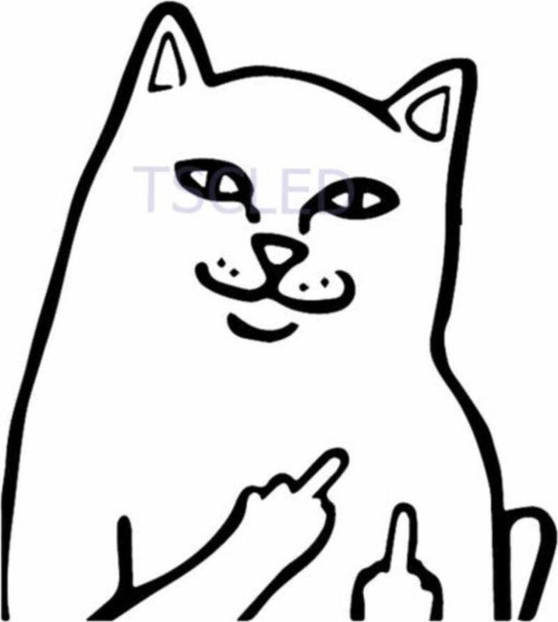 Kaba Komik Kedi Araba Çıkartmaları Su Geçirmez