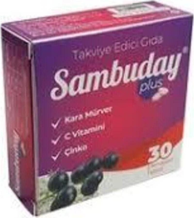 Sambuday Plus Kara Mürver C I Çinko Efervesan Tablet 30 Luk