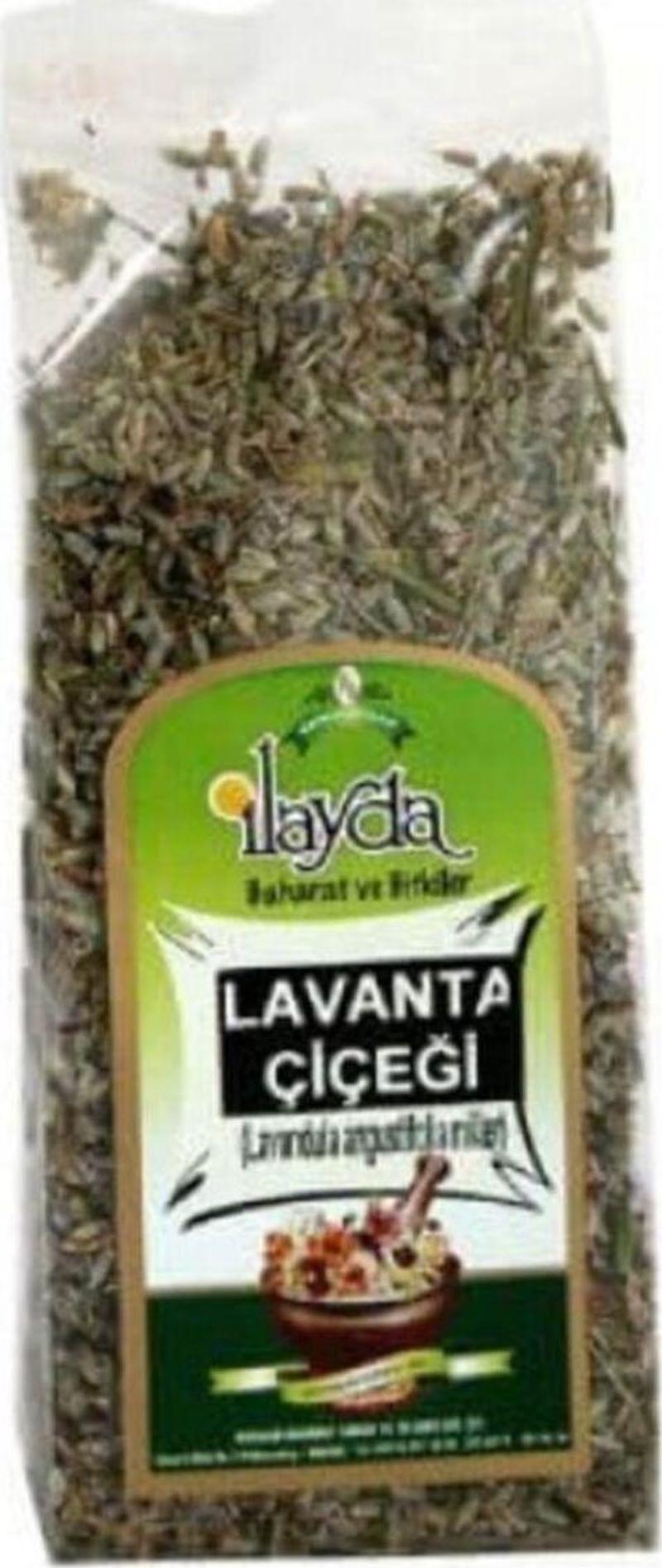 Ilayda Lavanta Çiçeği