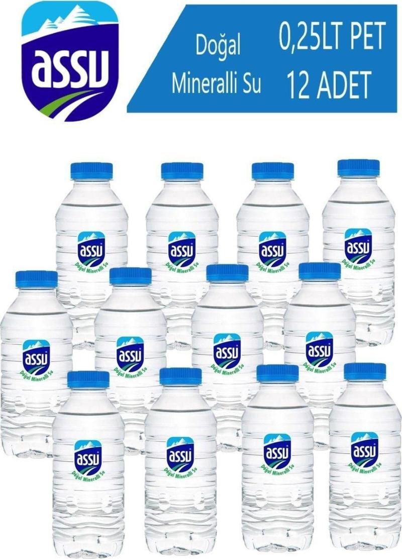 Su 0,25 Lt 12 Adet