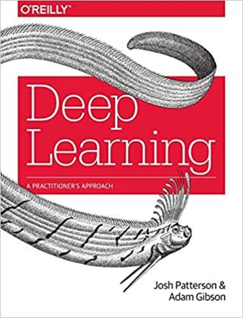 Deep Learnıng A Practıtıoners Approach - Wiley