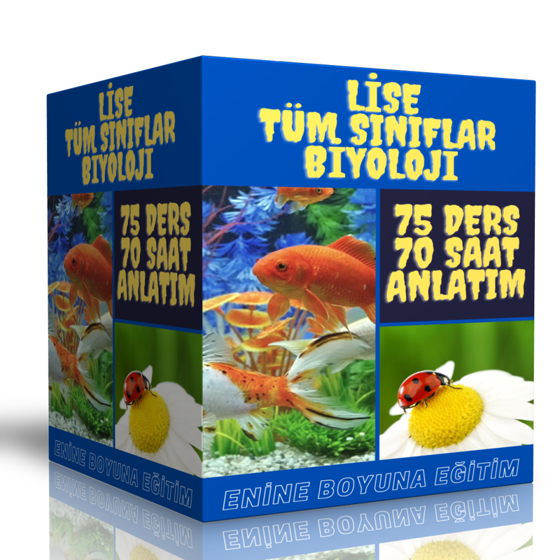 Lise Tüm Sınıflar Biyoloji Görüntülü Eğitim Seti (75 Ders – 70 Saat Anlatım) - Enine Boyuna Eğitim