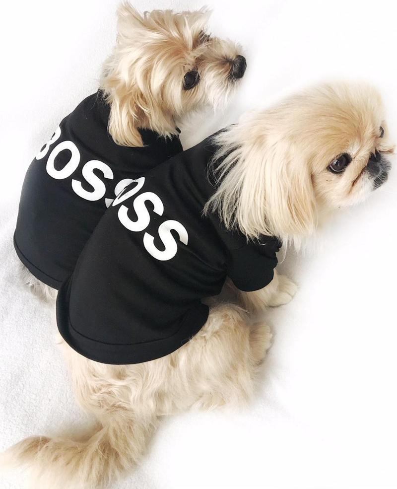 Boss Köpek Tişört