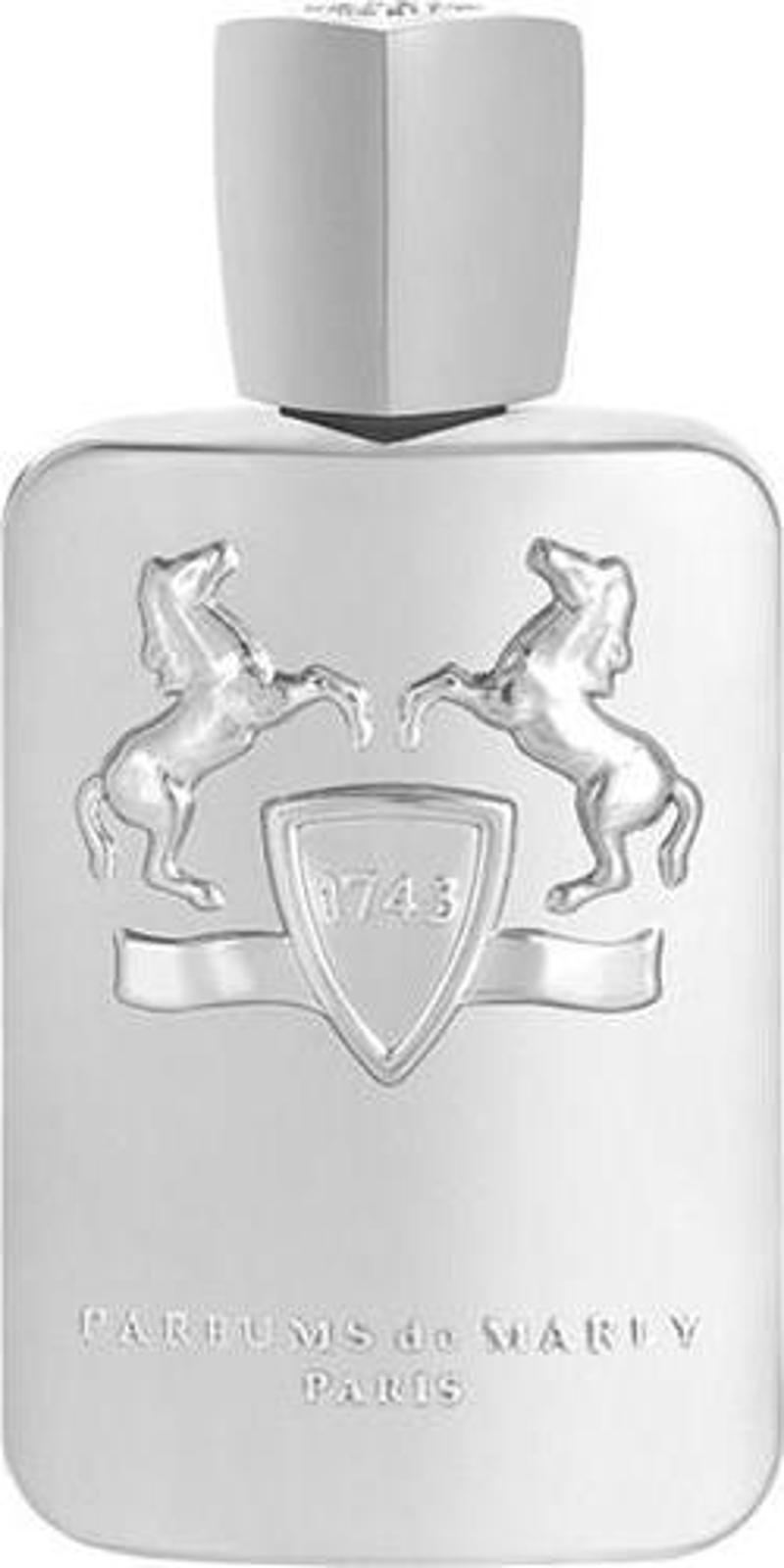 Pegasus EDP 125 ML Erkek Parfüm