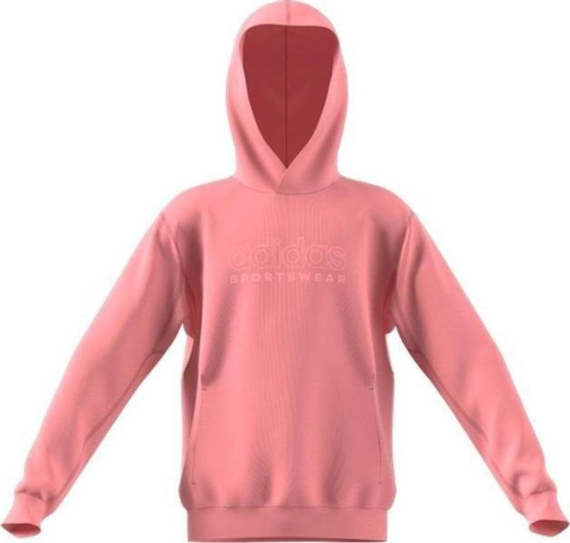 Çocuk  J SZN GFX HD Sweatshirt IV7116