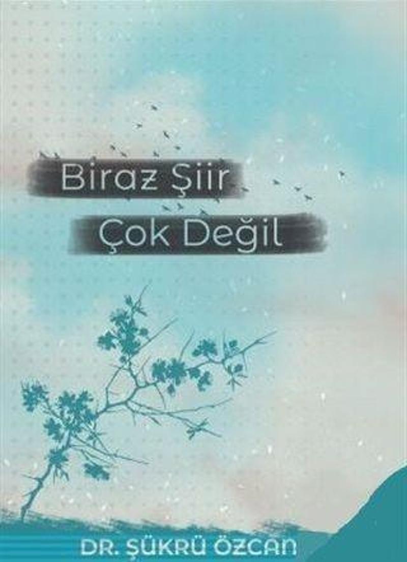 Biraz Şiir Çok Değil