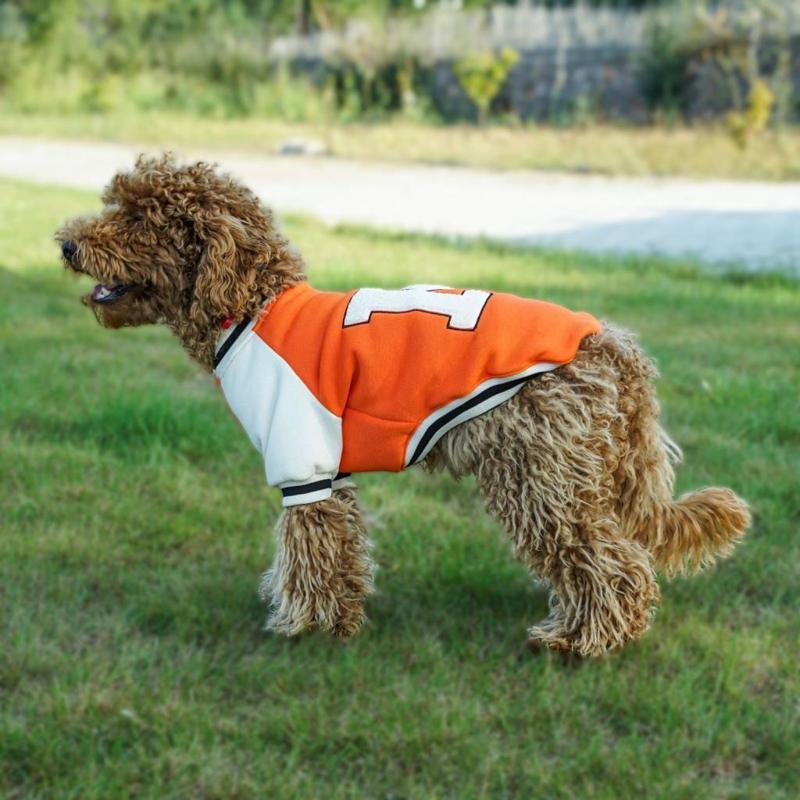 Kolej Köpek Sweatshirt Turuncu XLarge