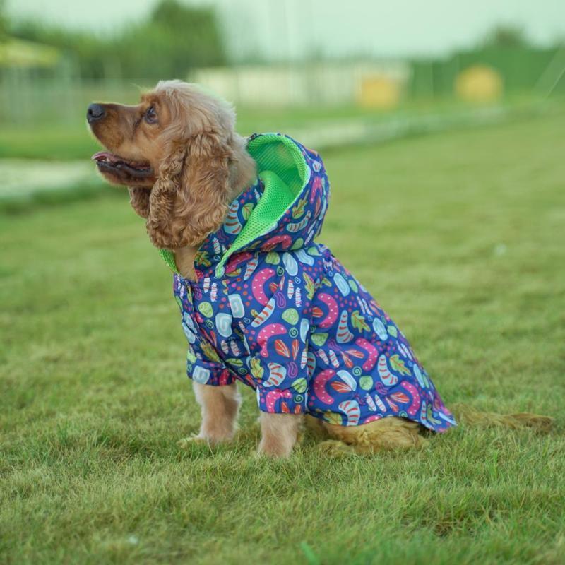 Tasarım Neon Köpek Yağmurluğu Medium